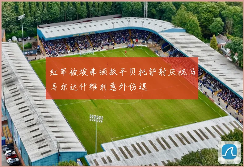 红军被埃弗顿扳平贝托铲射庆祝马马尔达什维利意外伤退