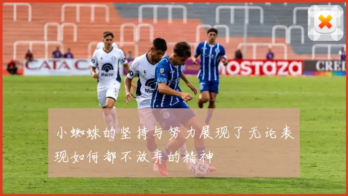小蜘蛛的坚持与努力展现了无论表现如何都不放弃的精神