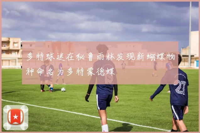 多特球迷在秘鲁雨林发现新蝴蝶物种命名为多特蒙德蝶